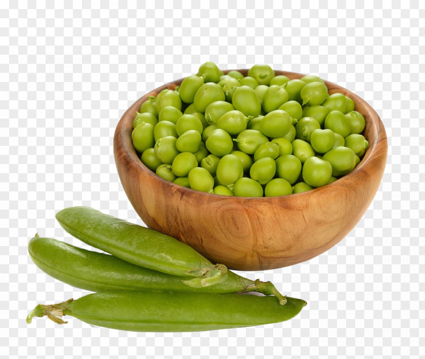 Pea Protein Common Bean Vegetable PNG