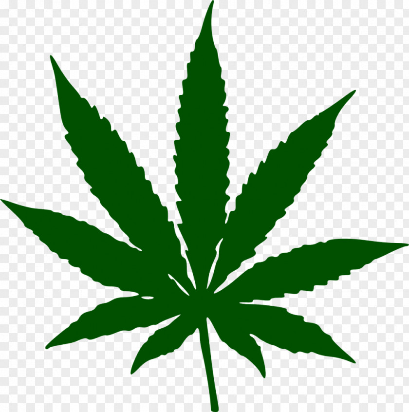 Cannabis Medical Leaf Smoking Clip Art PNG