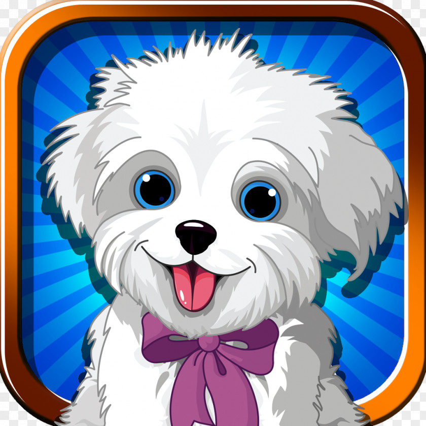 Dog Chasing The Ball Maltese Bolognese Puppy Havanese Bichon Frise PNG
