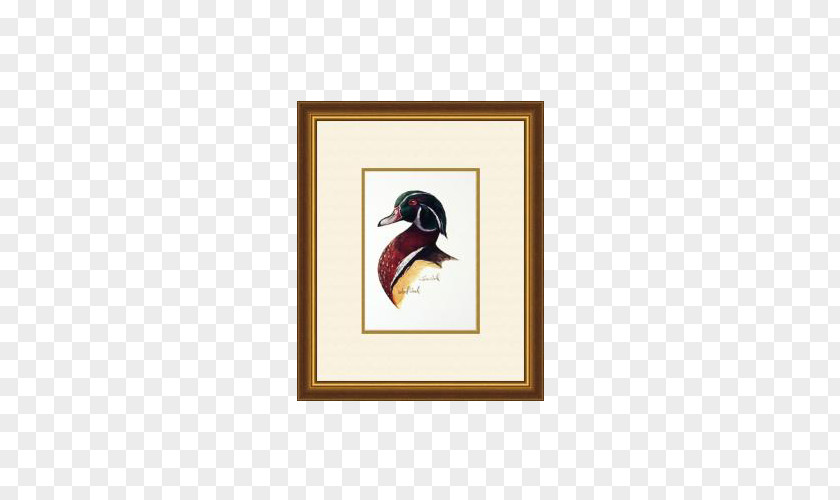 Duck Paintings Art Painting PNG