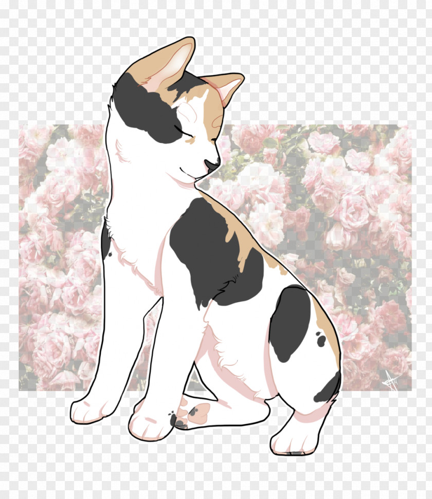 Kitten Whiskers Dog Fur PNG