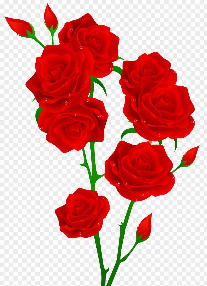 Red Roses Transparent Clip Art Image Rose Flower PNG