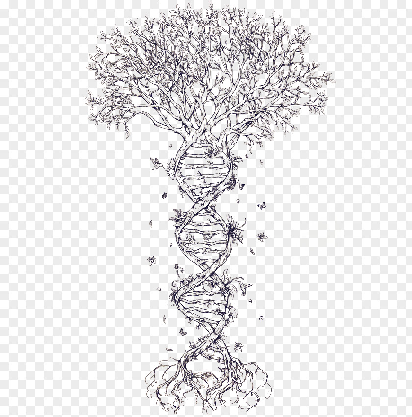 Tree Family DNA Tattoo Nucleic Acid Double Helix PNG