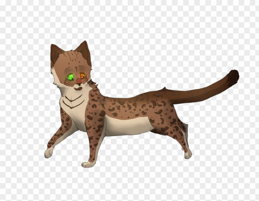 Cat Whiskers Domestic Short-haired Tail Animal PNG