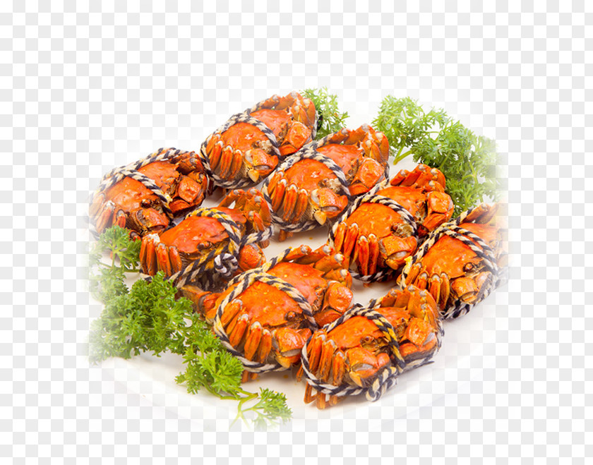 Crab Panjin Seafood Shrimp PNG