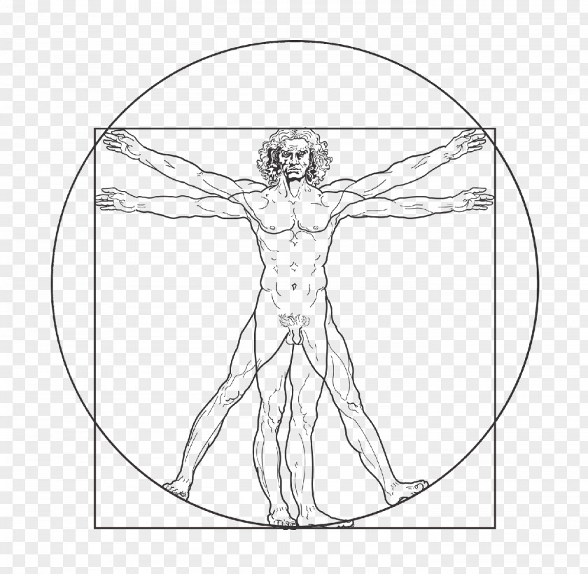 Human Body Vitruvian Man Drawing Royalty-free PNG