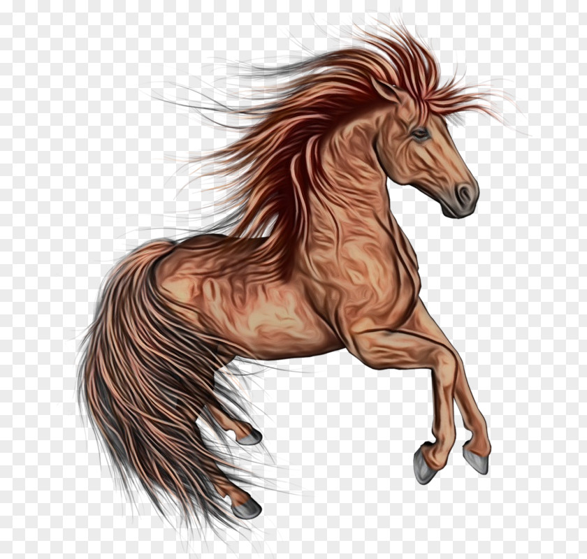 Mare Fictional Character Horse Mane Mustang Sorrel Liver PNG