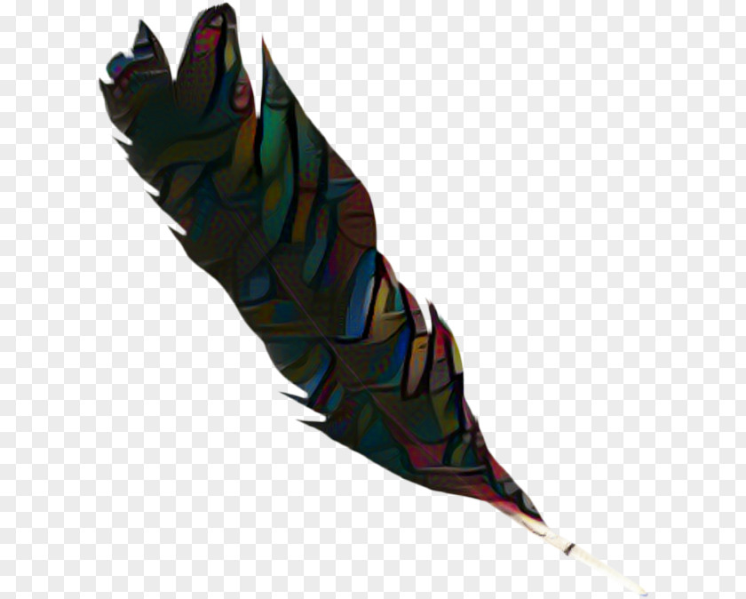Natural Material Claw Feather PNG