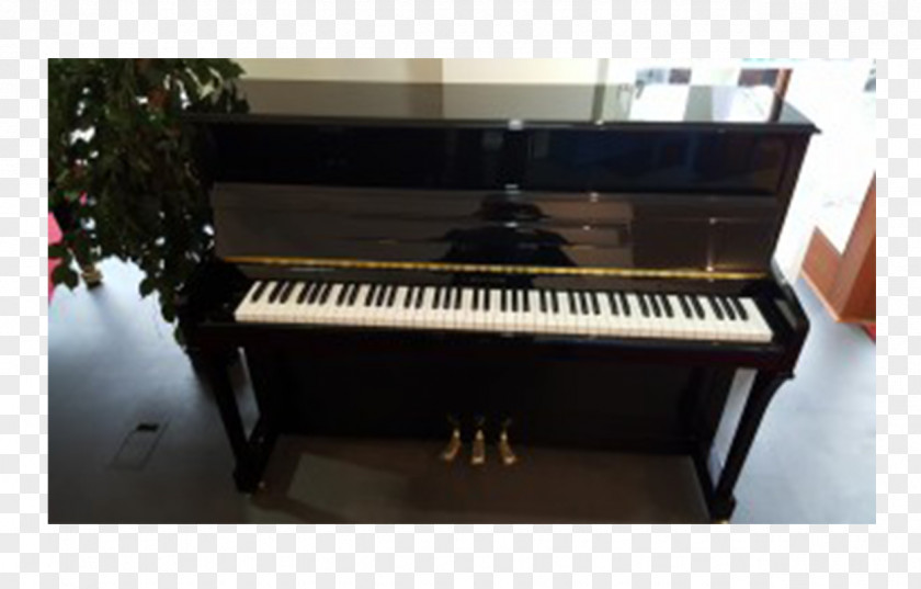 Piano Digital Electric Player Fortepiano Pianohaus Listmann PNG