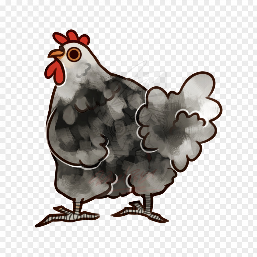 Rooster Beak Chicken As Food PNG