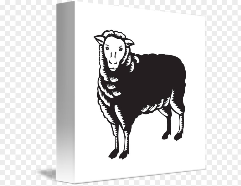 Sheep Agneau Can Stock Photo Royalty-free PNG