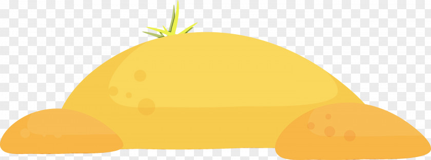 Squash Yellow Fruit PNG