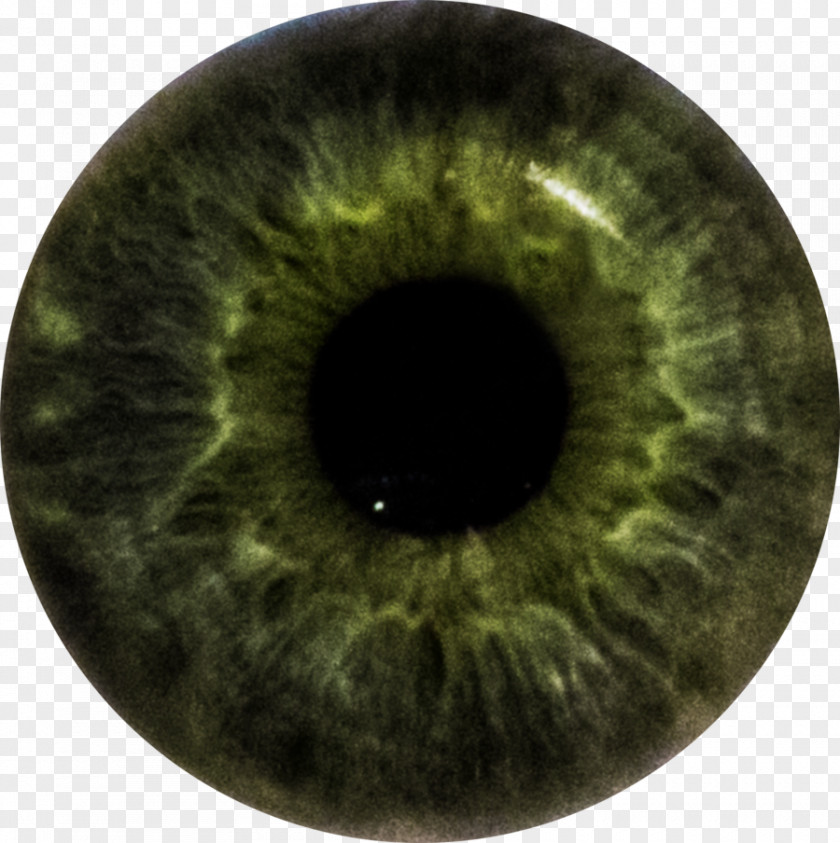 Eye Iris Color Human PNG