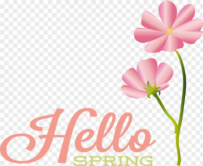 Floral Design PNG