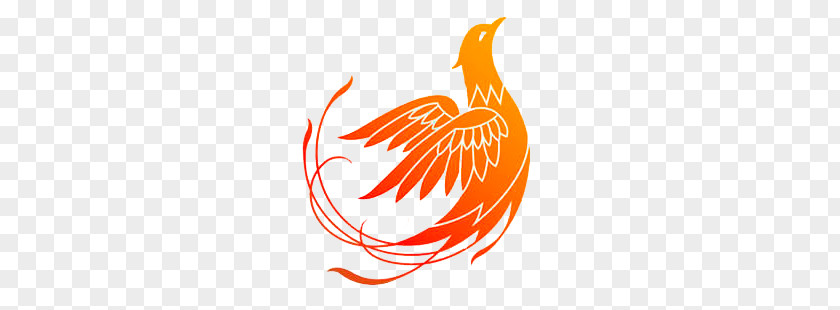 Phoenix Logo PNG logo clipart PNG