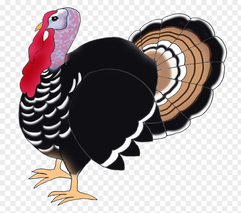 Thanks Giving Narragansett Turkey Black Bird Drawing Clip Art PNG