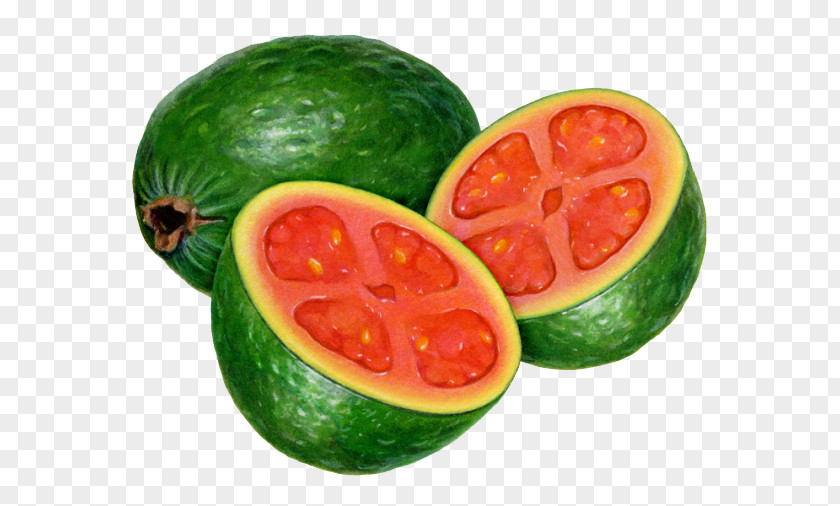Tomatoes, Avocado Creative Fruit Watermelon Guava Tomato PNG