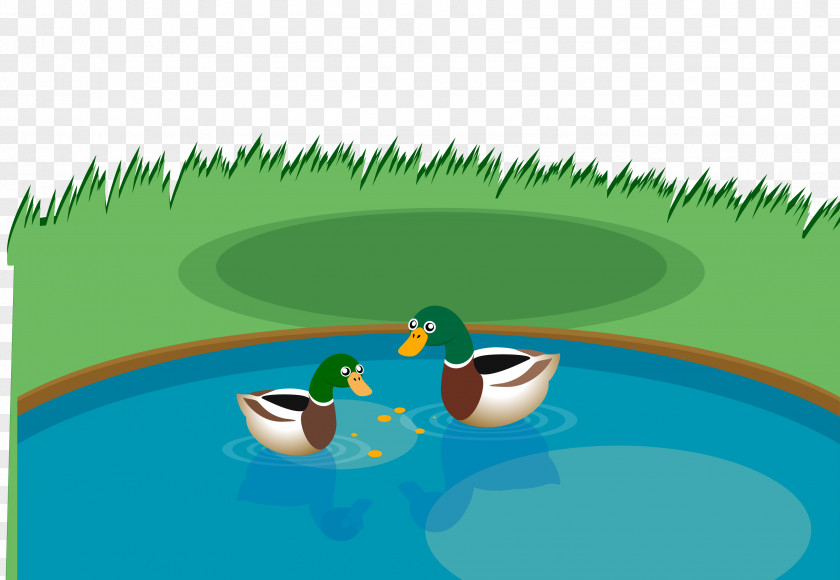 Vector Cartoon Ducks Swim Material Swim, Duck, Swim! Illustration PNG