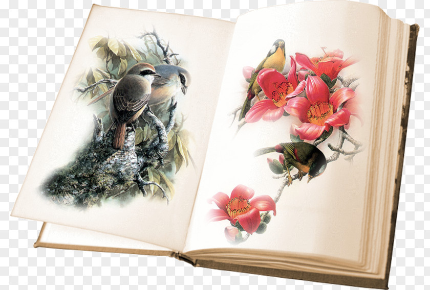 Book Image Bird Clip Art Painting PNG