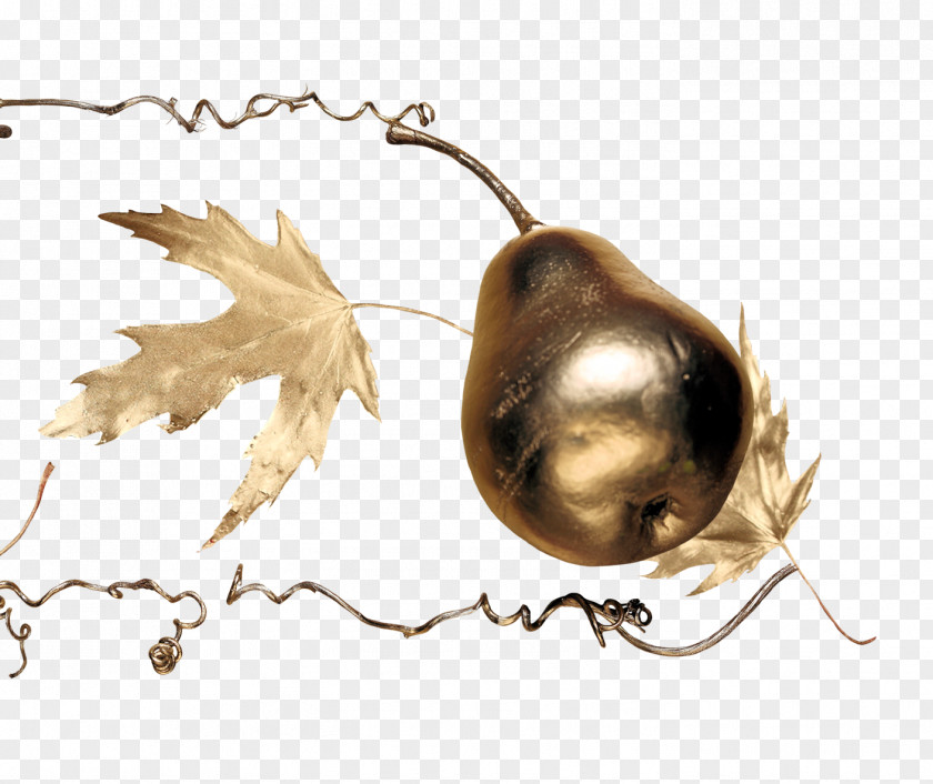Metal Pears Icon PNG