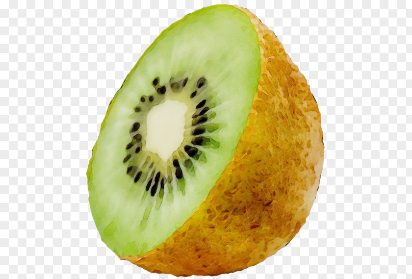 Superfood Accessory Fruit Kiwifruit Plant Food Muskmelon PNG