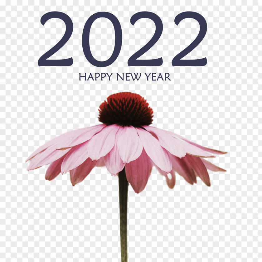 2022 Happy New Year PNG