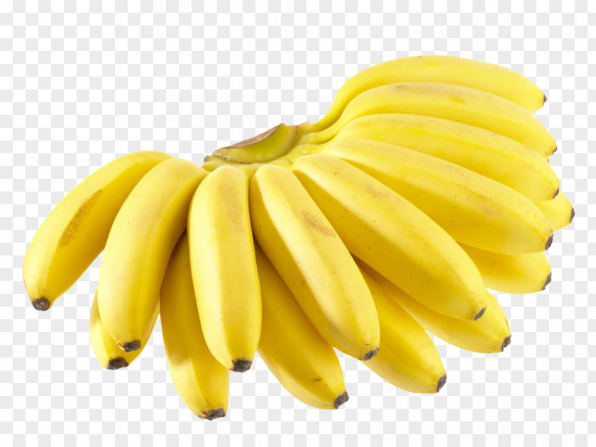 A Banana Close-up Auglis Stock Photography Fruit Musa Basjoo PNG