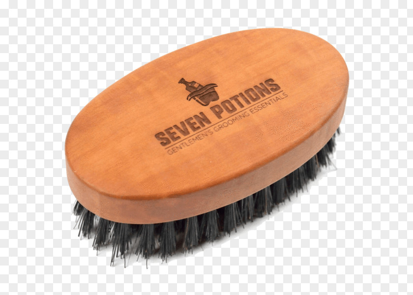 Beard Wild Boar Hairbrush Bristle PNG