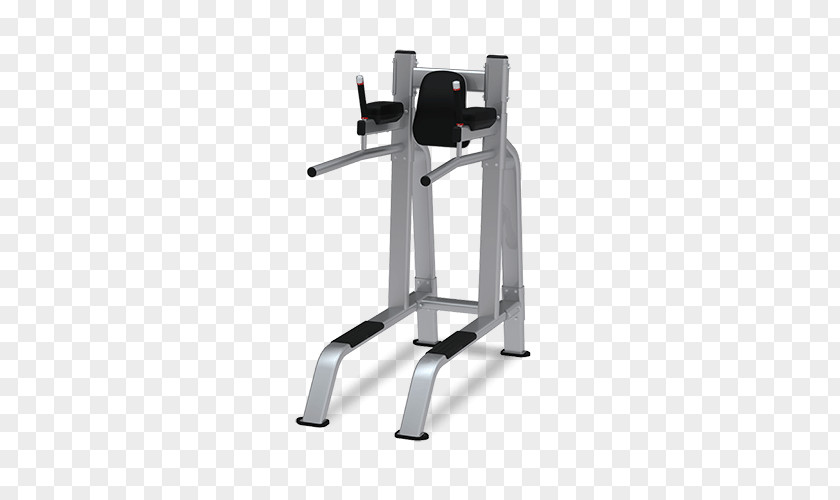 Bench Leg Raise Dip Weight Training Exercise Machine PNG raise training machine, dumbbell clipart PNG