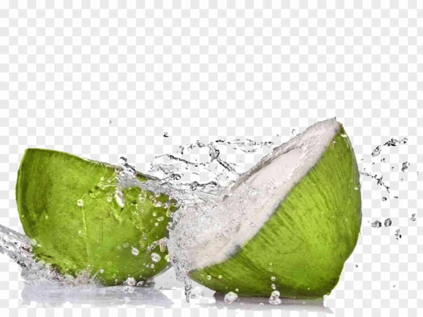 Drink Coconut Water Smoothie Sports & Energy Drinks PNG