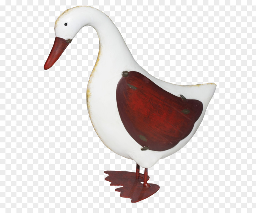 Duck Goose Beak Feather PNG