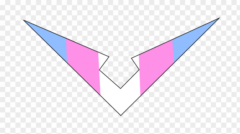 Pansexual Pride Flag Triangle Pink M Font PNG