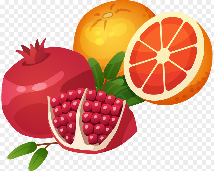 Pomegranate Orange Vector Material Food Auglis Photography PNG
