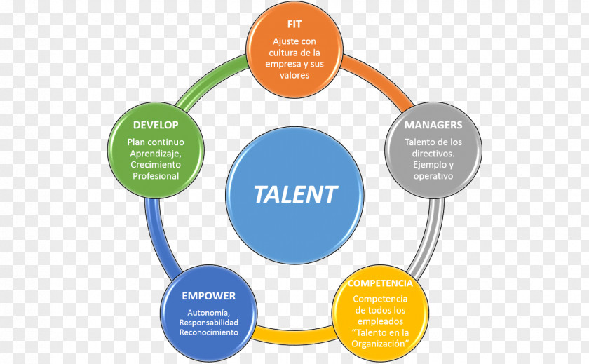 Talent Manager Business Service Sales Management Health Care PNG