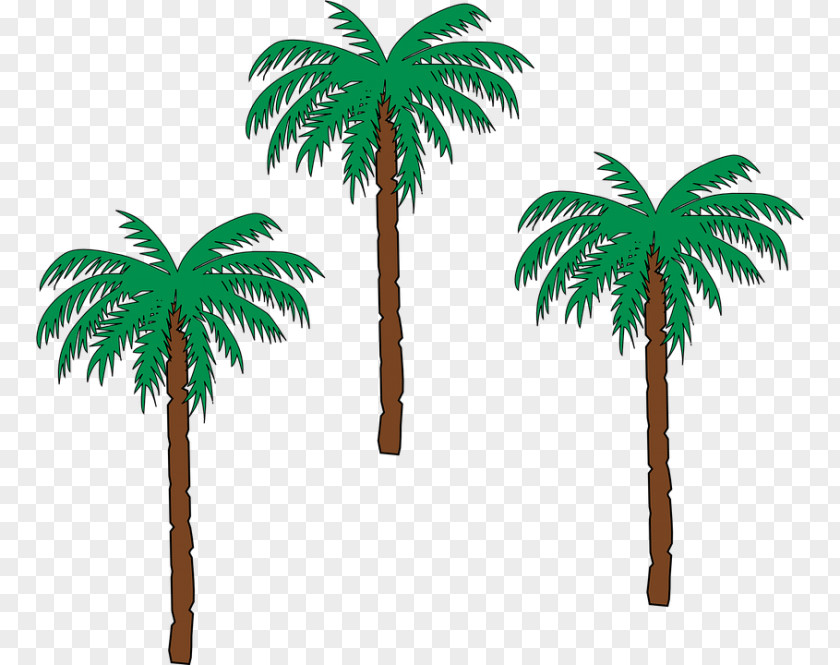 Date Palm Stock Photography Royalty-free PNG