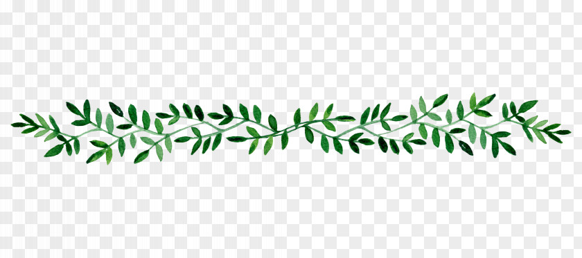 Hand-painted Leaf Border PNG leaf border clipart PNG