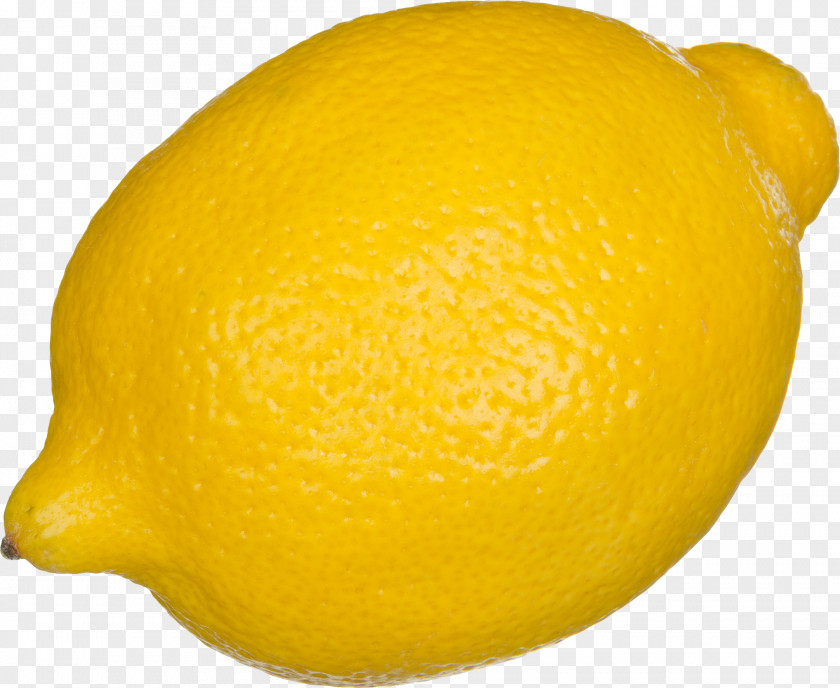 Lemon Tart PNG