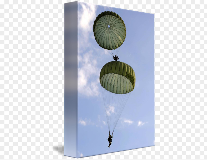 Parachute Jump United States Army Airborne School Parachuting Paratrooper Military PNG