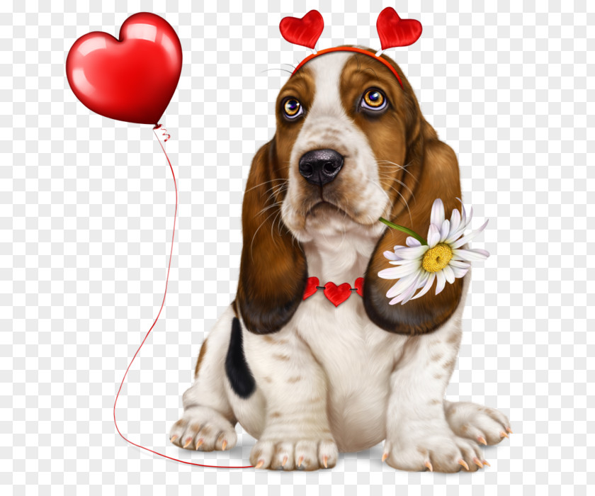 Puppy Basset Hound Yorkshire Terrier Dog Breed Poodle PNG