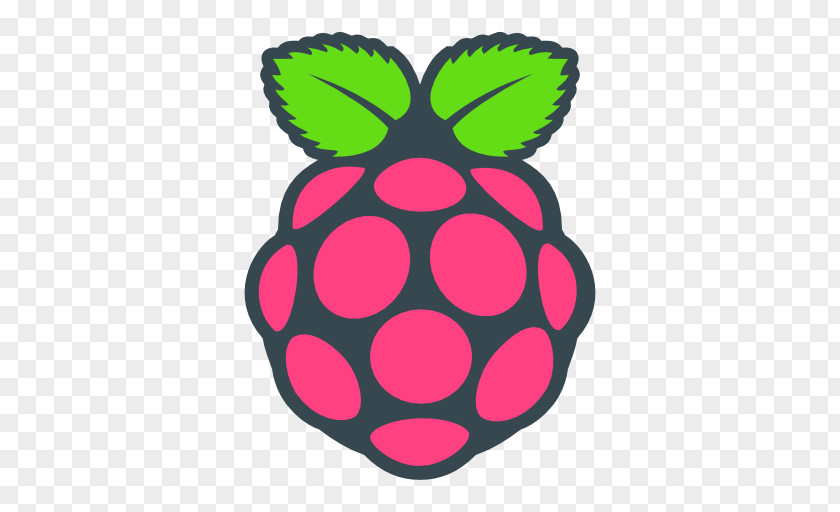 Raspberry Vector Pi Foundation Computer Cases & Housings Raspbian PNG