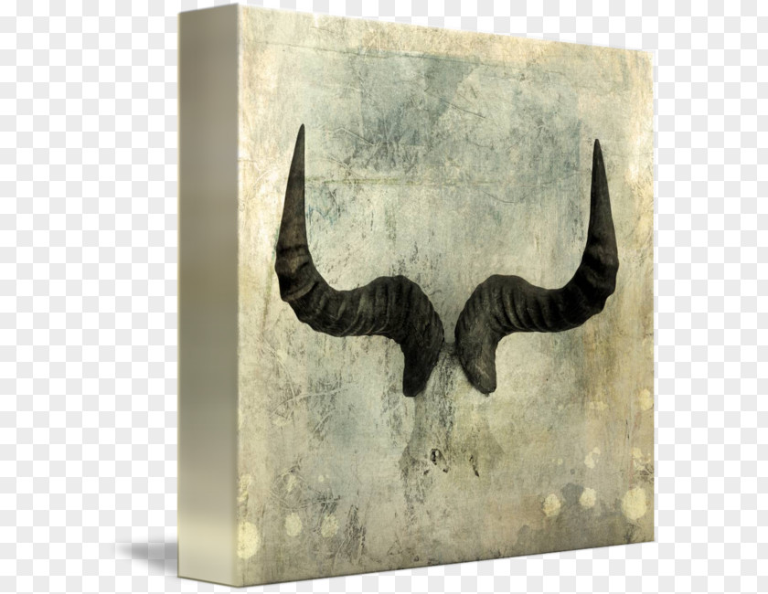 Book Horn Wildebeest Gallery Wrap Canvas Art PNG