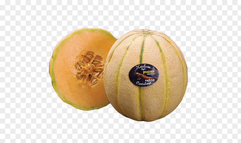Hami Melon Honeydew Cantaloupe Galia Cucurbita PNG