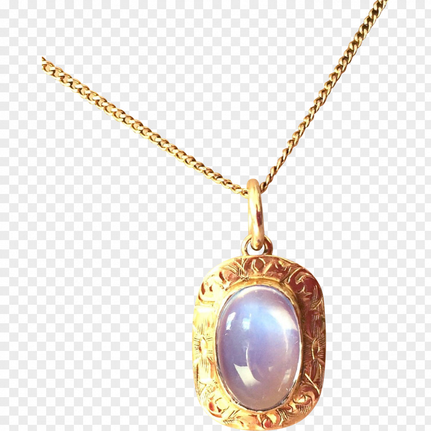 Necklace Locket Jewellery Chain Roberto Cavalli PNG