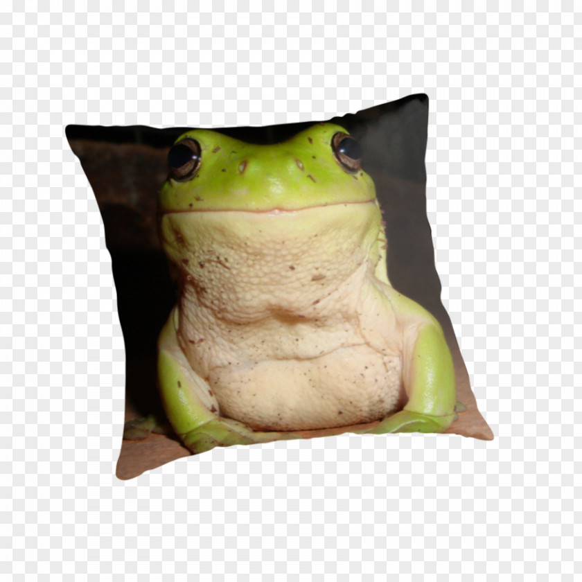 Pillow Tree Frog Throw Pillows True Cushion PNG