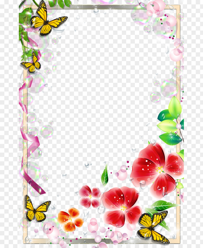 Simple And Modern Picture Frame Border PNG