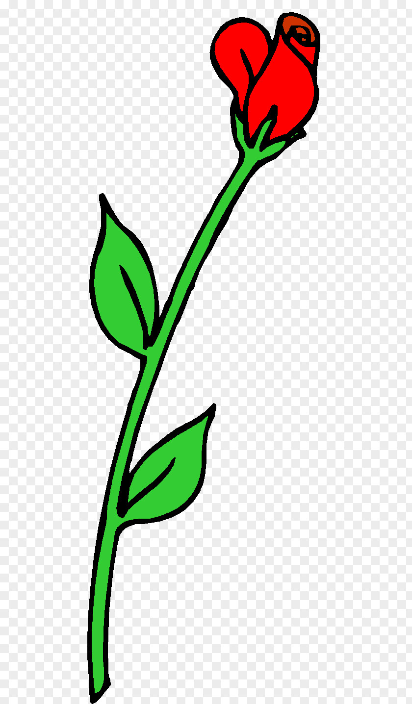 Trik Clip Art Rose Image Illustration Flower PNG