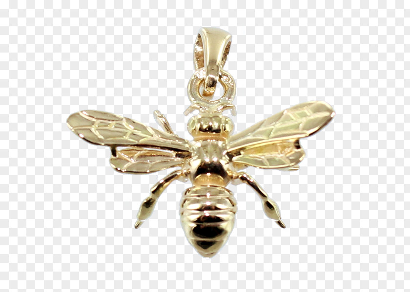 Bee Honey Charms & Pendants Bijou Jewellery PNG