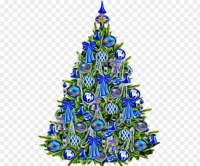 Christmas Tree PNG