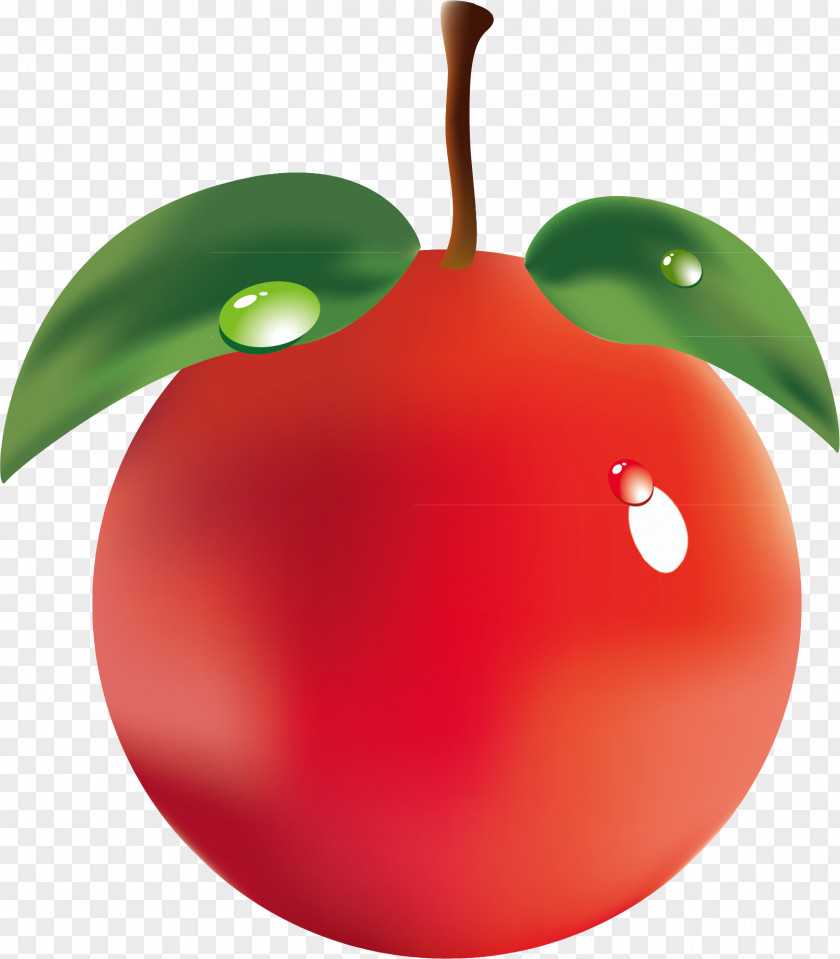 Delicious Red Cherry PNG