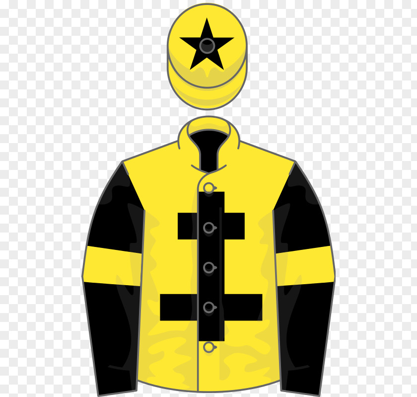 Horse Champion Bumper Yellow National Hunt Racing John Francome Novices' Chase PNG